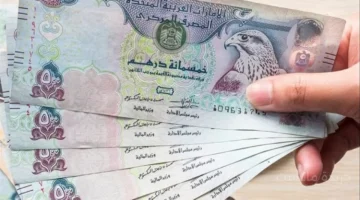 تطور جديد.. سعر الدرهم الإماراتي اليوم السبت يخالف التوقعات في البنوك المصرية 1